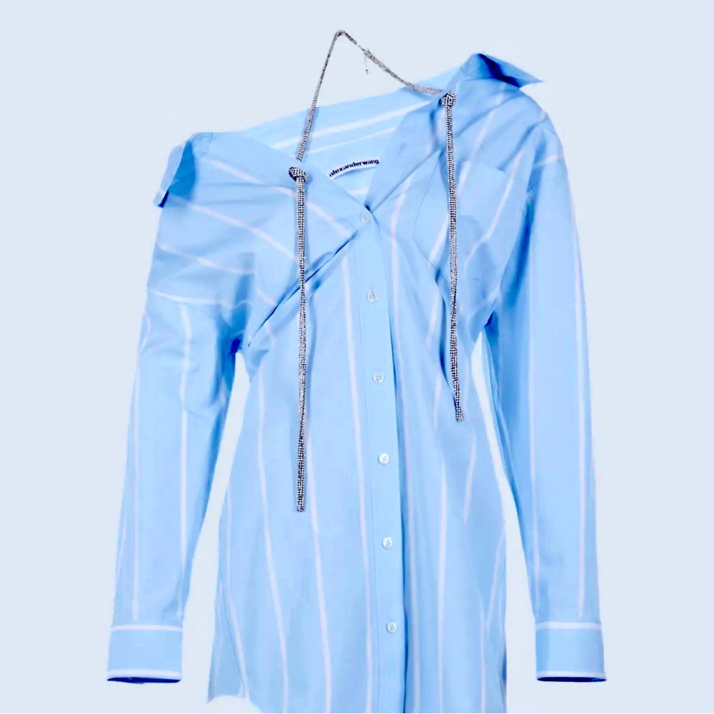 Alexander Wang shirt dress